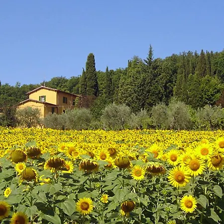 Feriegård I Casali Del Trebbiolo *