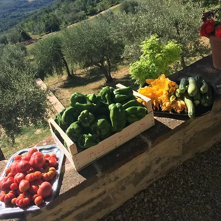I Casali Del Trebbiolo Molino del Piano