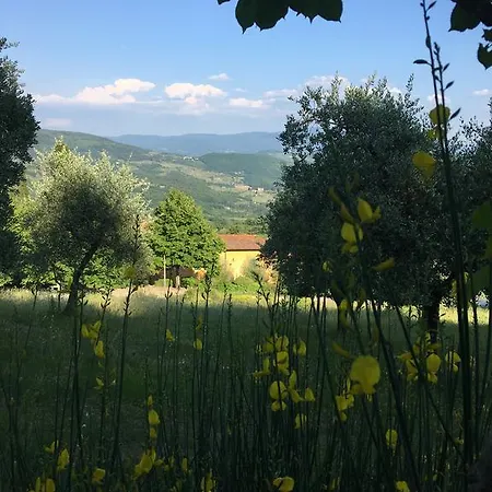 I Casali Del Trebbiolo * Molino del Piano